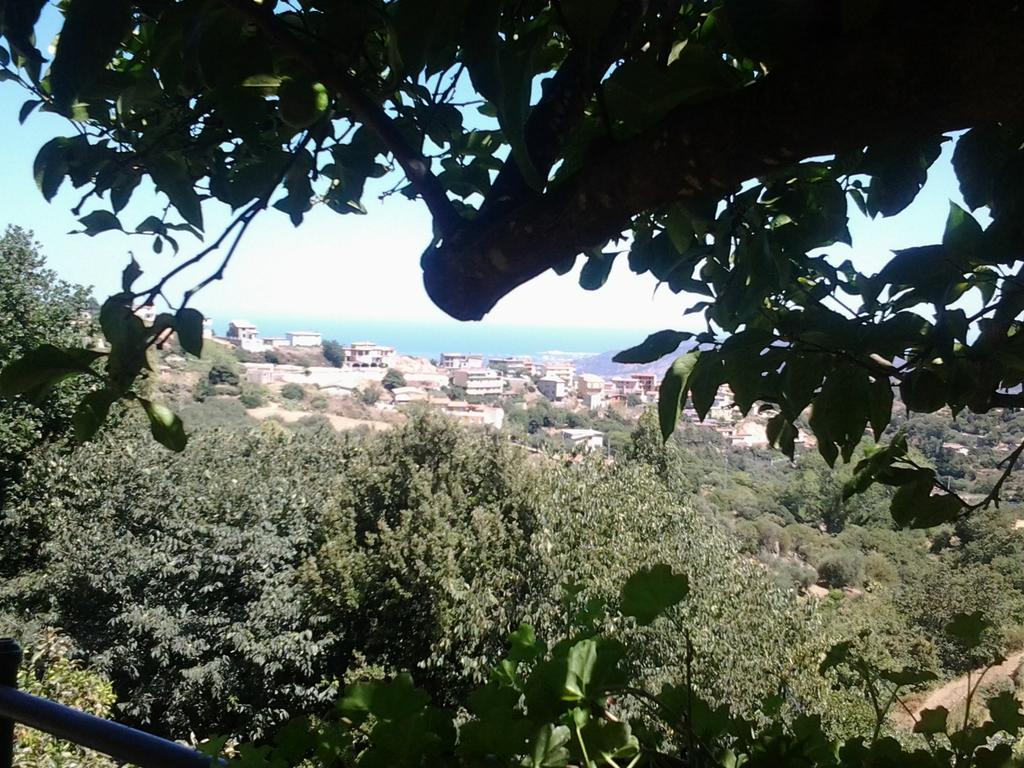 Le Roverelle Ilbono Exterior photo